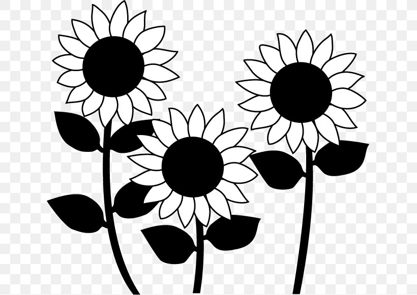Common Sunflower Black And White Monochrome Painting, PNG, 635x581px, Common Sunflower, Artwork, August, Black, Black And White Download Free