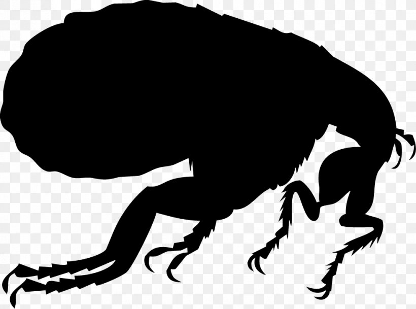 Dog Flea Silhouette Illustration, PNG, 981x729px, Flea, Black And White, Cat Flea, Dog Flea, Fictional Character Download Free