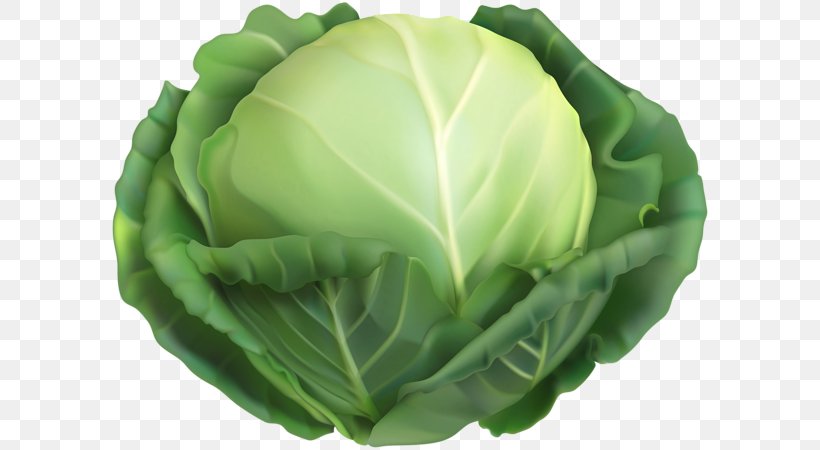Vegetarian Cuisine Savoy Cabbage Red Cabbage Vector Graphics, PNG, 600x450px, Vegetarian Cuisine, Cabbage, Chinese Cabbage, Collard Greens, Cruciferous Vegetables Download Free