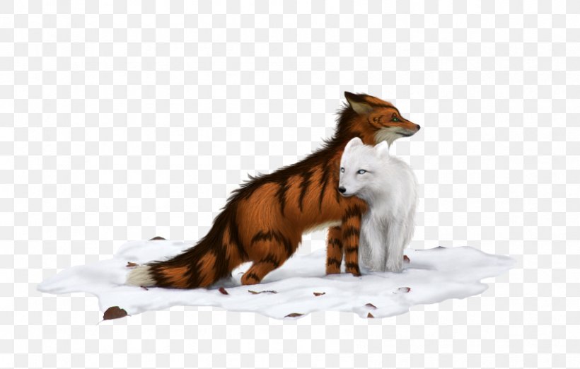 Cat Red Fox Tail Wildlife Fox News, PNG, 848x540px, Cat, Carnivoran, Cat Like Mammal, Dog Like Mammal, Fauna Download Free