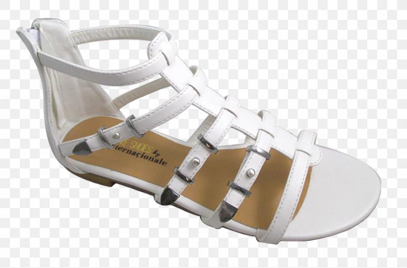 Sandal Shoe Slipper Zipper Boot, PNG, 1091x721px, Sandal, Ballet Flat, Beige, Boot, Buckle Download Free