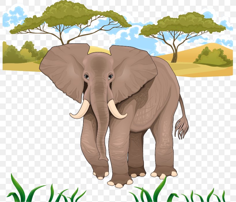 African Elephant Stock Illustration, PNG, 801x703px, African Elephant, Elephant, Elephantidae, Elephants And Mammoths, Fauna Download Free