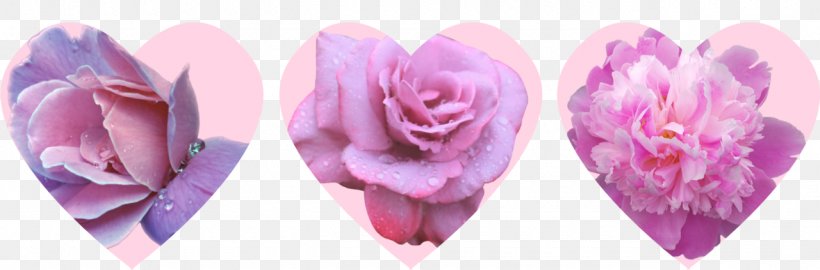 Cut Flowers Floristry Rose Family Petal, PNG, 1280x423px, 20 Something, Flower, Art, Artist, Blog Download Free