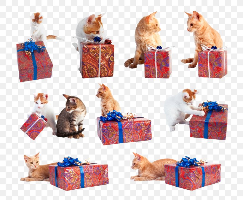 Felidae Cat Christmas Poison, PNG, 782x673px, Felidae, Box, Cat, Christmas, Gift Download Free