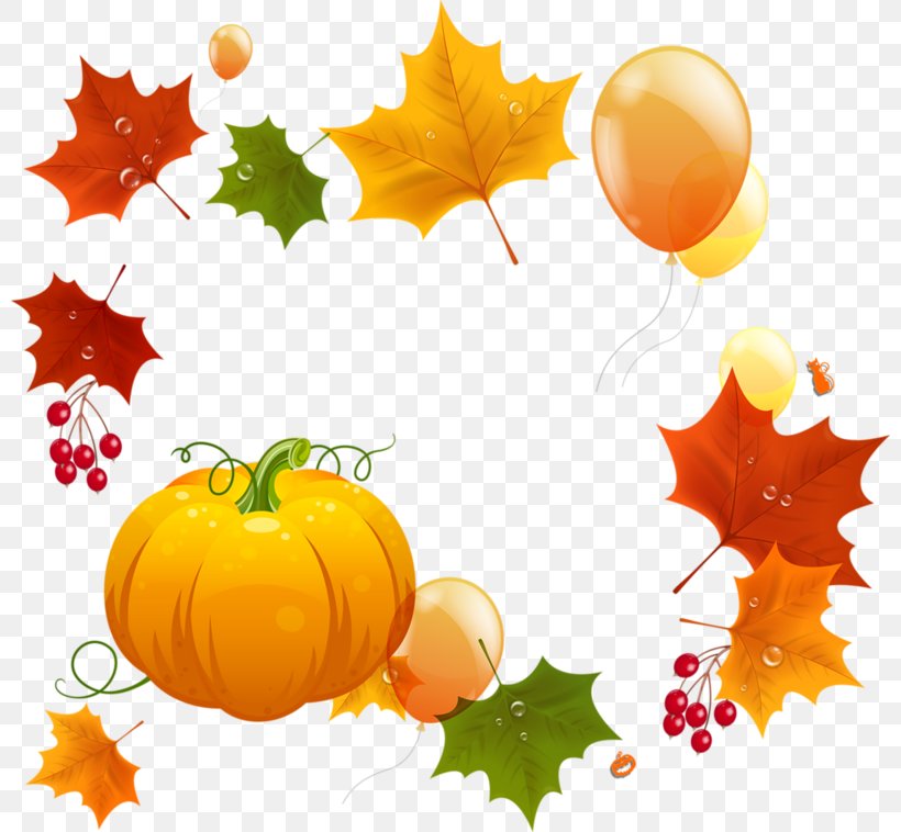 Harvest Autumn Clip Art, PNG, 800x758px, Harvest, Autumn, Branch, Calabaza, Cucurbita Download Free