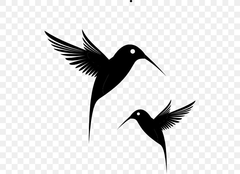 Hummingbird Black Clip Art, PNG, 516x594px, Bird, Beak, Black, Black And White, Drawing Download Free