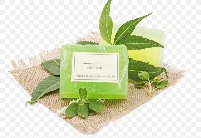 Soap Herb Manufacturing India, PNG, 1024x705px, Soap, Business, Essential Oil, Glycerin Soap, Herb Download Free
