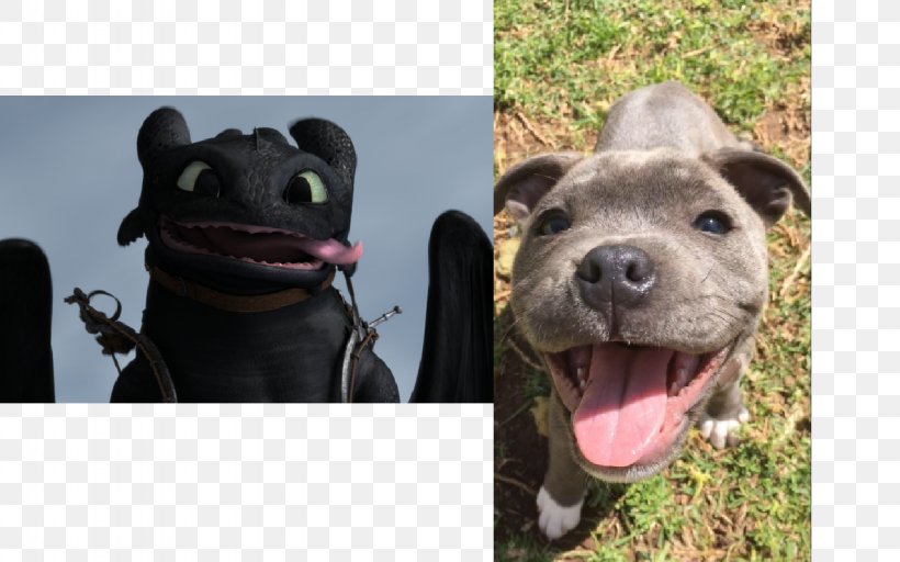 YouTube How To Train Your Dragon Astrid Toothless, PNG, 1280x800px, Youtube, American Pit Bull Terrier, Animated Film, Astrid, Carnivoran Download Free