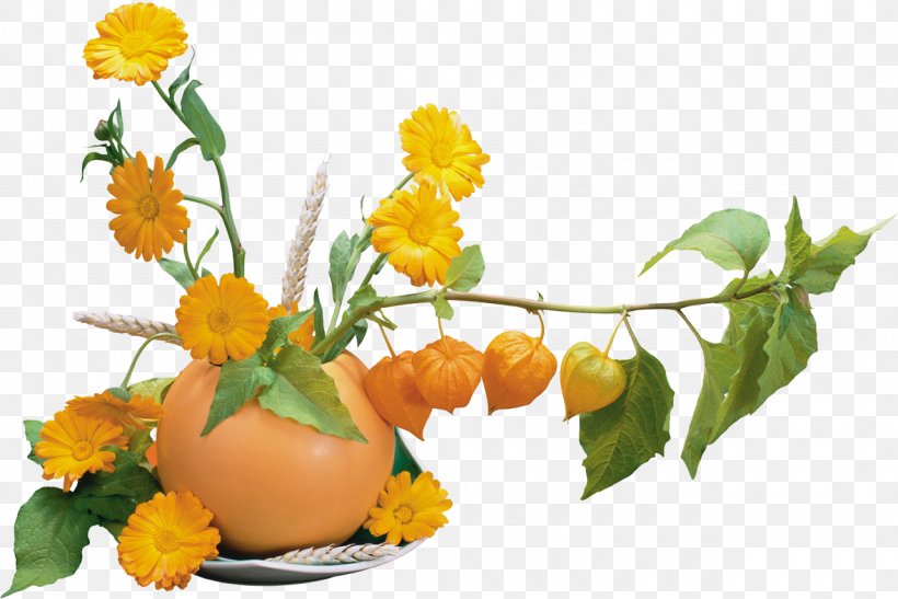 Flower Bouquet Drawing Animation Clip Art, PNG, 1280x855px, Flower Bouquet, Animation, Calendula, Cut Flowers, Drawing Download Free