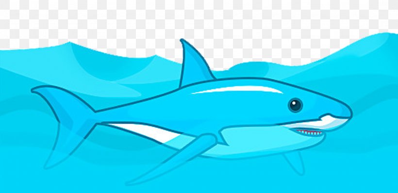 Tiger Shark Squaliformes Clip Art, PNG, 2150x1046px, Tiger Shark, Animal, Aqua, Azure, Blue Download Free