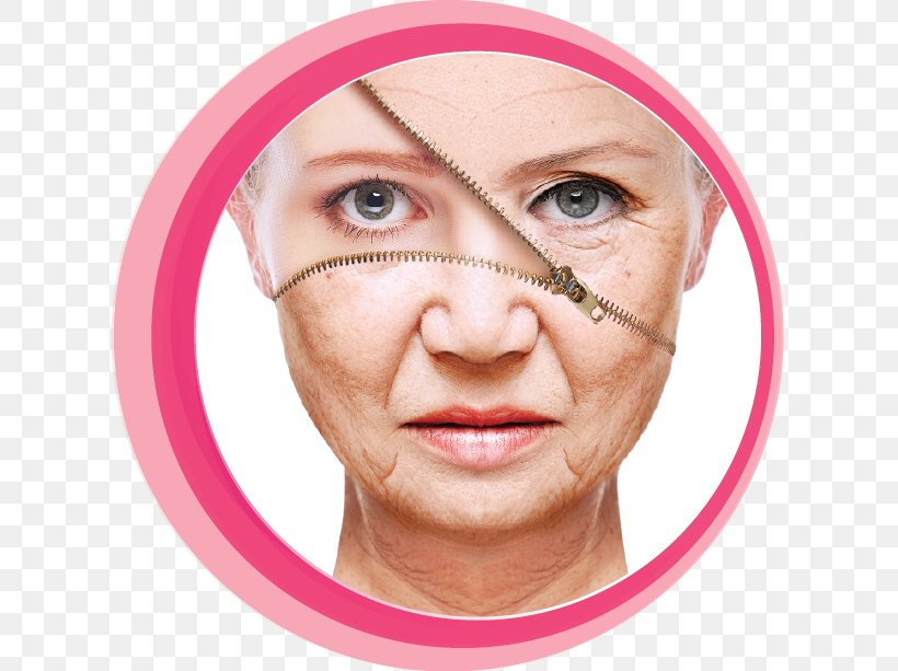 Anti-aging Cream Life Extension Ageing Skin Care Wrinkle, PNG, 634x613px, Antiaging Cream, Ageing, Cheek, Chin, Close Up Download Free