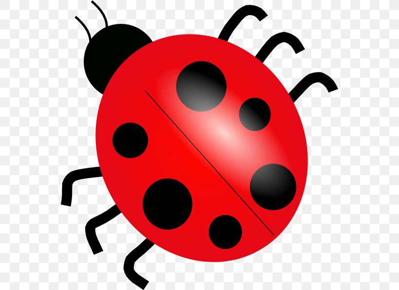 Free Content Ladybird Clip Art, PNG, 570x596px, Free Content, Animation, Beetle, Drawing, Insect Download Free