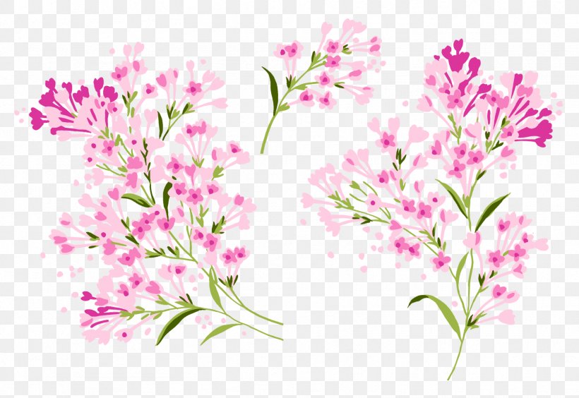 Lilac Flower Clip Art, PNG, 1667x1147px, Lilac, Blossom, Branch, Cherry Blossom, Cut Flowers Download Free