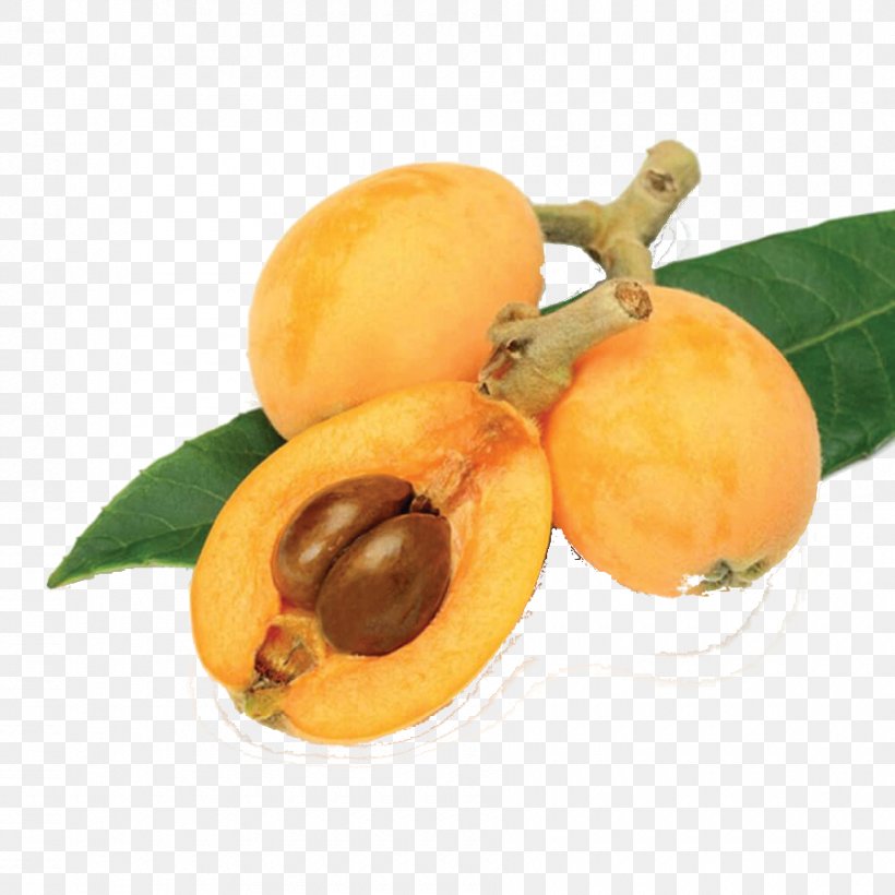 Loquat Fruit Food Vegetable Papaya, PNG, 900x900px, Loquat, Apricot, Berries, Can, Diospyros Download Free
