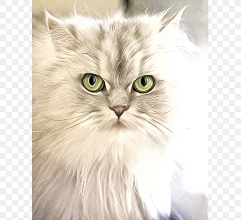 Cat Kitten Felidae Dog Veterinarian, PNG, 600x748px, Cat, Asian Semi Longhair, Black And White, British Semi Longhair, Carnivoran Download Free