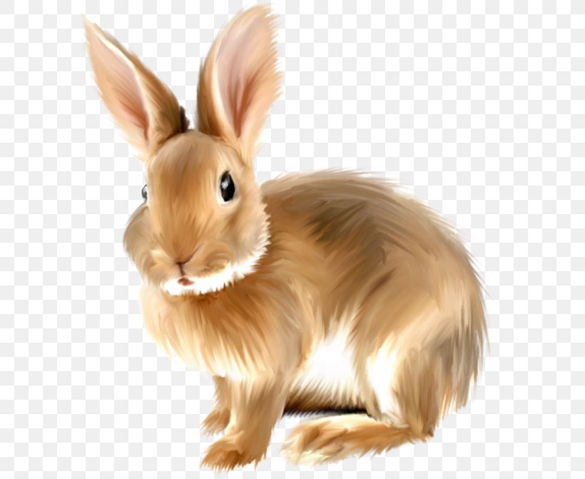 Easter Bunny European Rabbit Clip Art, PNG, 600x671px, Easter Bunny, Document, Domestic Rabbit, European Rabbit, Fauna Download Free