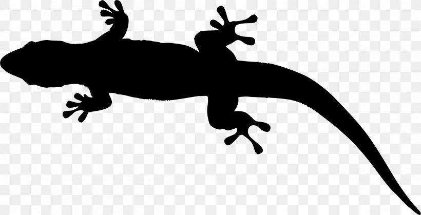 Gecko Lizard Amphibians Clip Art Fauna, PNG, 2396x1225px, Gecko, Amphibian, Amphibians, Fauna, Lizard Download Free