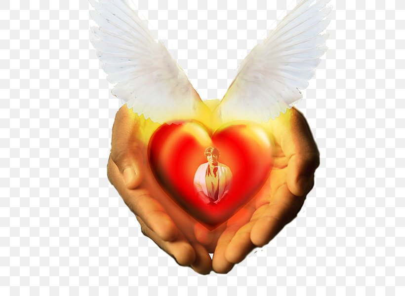 Heart, PNG, 600x600px, Heart, Love, Wing Download Free