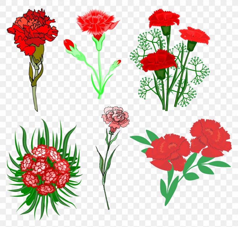Polka Hall Of Fame Cut Flowers Carnation Clip Art, PNG, 1720x1644px, Flower, Animation, Annual Plant, Art, Carnation Download Free