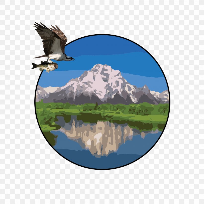 Service Mission Statement Bird Water Resources, PNG, 3600x3600px, Service, Algae, Bird, Eagle, Email Download Free