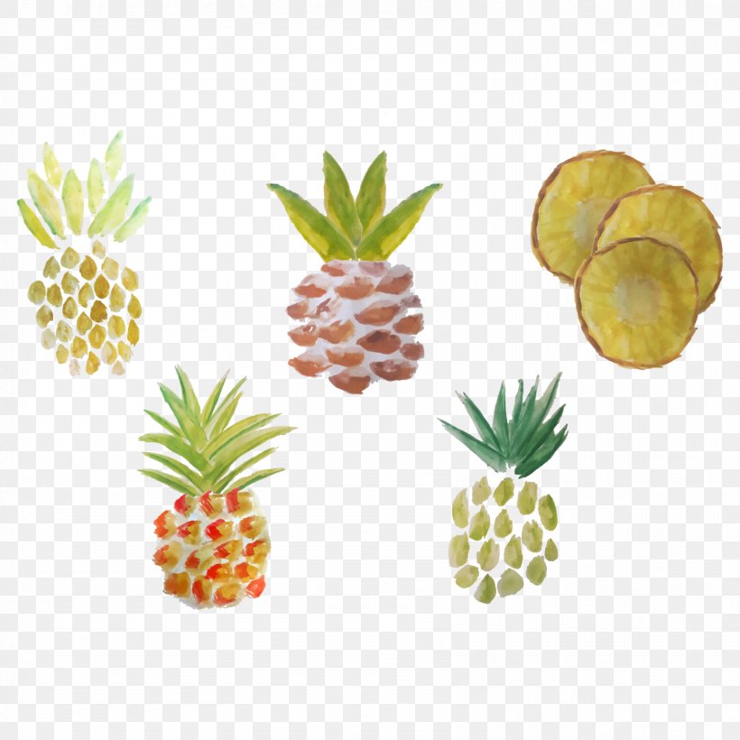 Watercolor Painting Pineapple Drawing, PNG, 1667x1667px, Watercolor Painting, Ananas, Art, Bromeliaceae, Cartoon Download Free