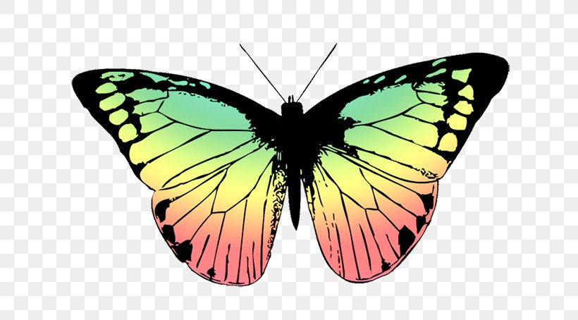 Butterfly Drawing Clip Art, PNG, 650x454px, Butterfly, Arthropod, Brush Footed Butterfly, Brushfooted Butterflies, Butterflies And Moths Download Free