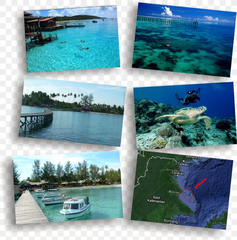Derawan Islands Water Resources Ecosystem Sea Leisure, PNG, 1576x1600px, Derawan Islands, Aqua, Coast, Coastal And Oceanic Landforms, Collage Download Free