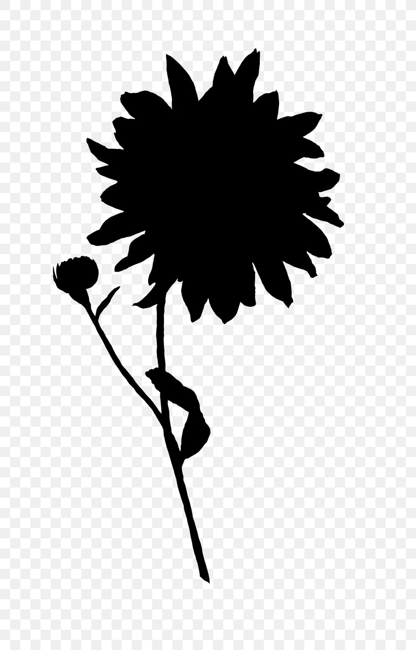 Mobil 1-case 5w-40 Formula M Motor Oil Leaf Clip Art Plant Stem Silhouette, PNG, 743x1280px, Leaf, Article, Black M, Blackandwhite, Daisy Family Download Free