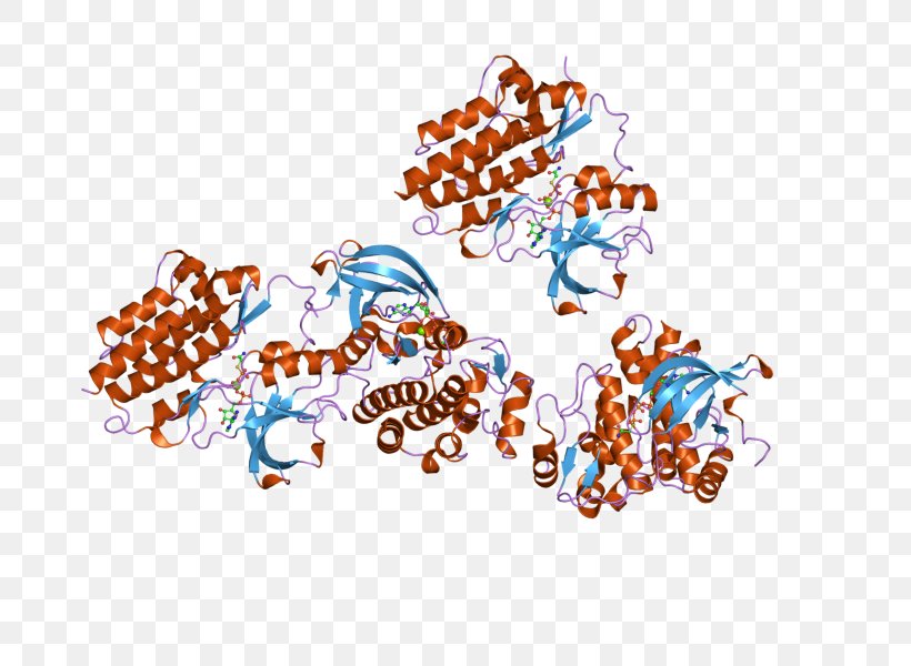 ABL2 Philadelphia Chromosome Tyrosine Kinase Bcr-Abl Tyrosine-kinase Inhibitor, PNG, 800x600px, Abl, Area, Art, Bcrabl Tyrosinekinase Inhibitor, Body Jewelry Download Free
