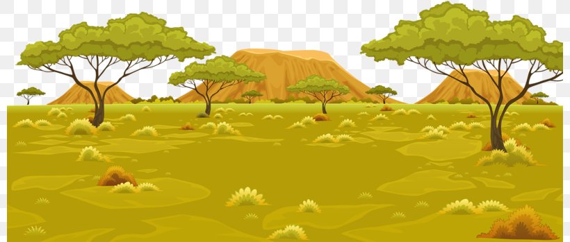 Africa Landscape Illustration, PNG, 800x349px, Africa, Biome, Cartoon, Drawing, Ecoregion Download Free