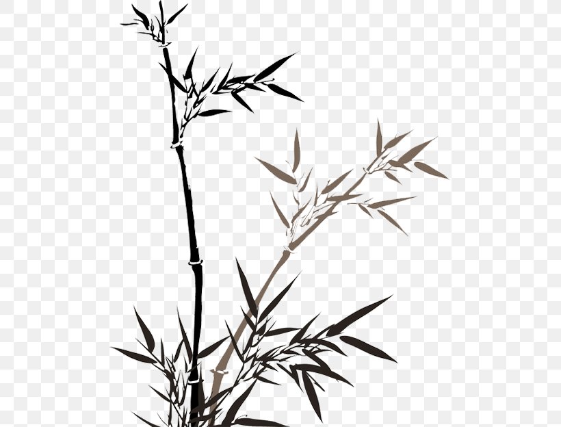 Bamboo Icon, PNG, 500x624px, Bamboo, Black And White, Branch, Chinese Painting, Drawing Download Free