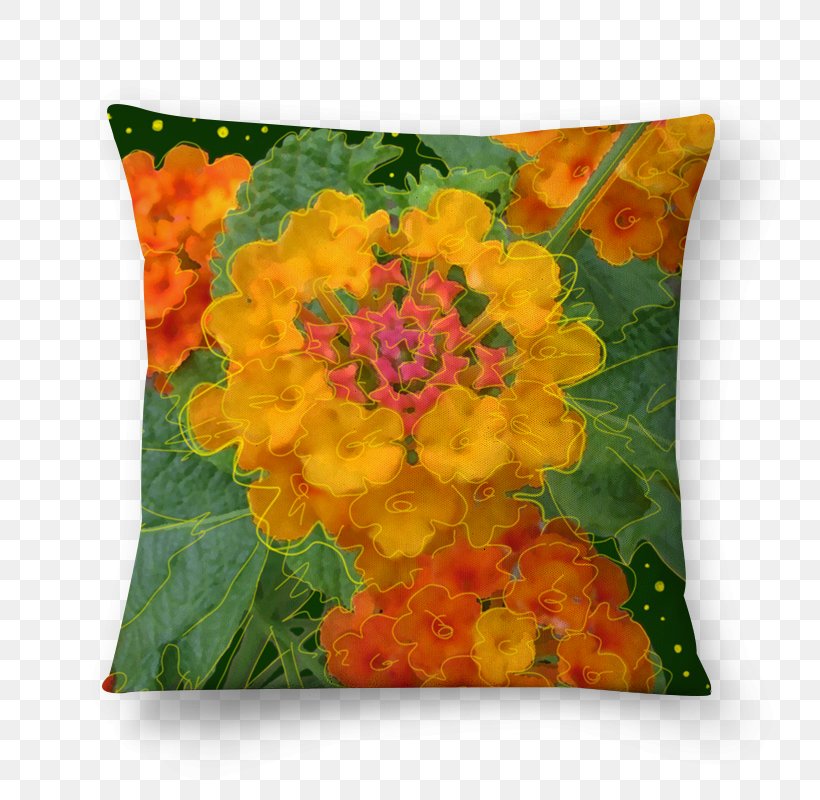 Cushion, PNG, 800x800px, Cushion, Flower, Orange, Petal Download Free