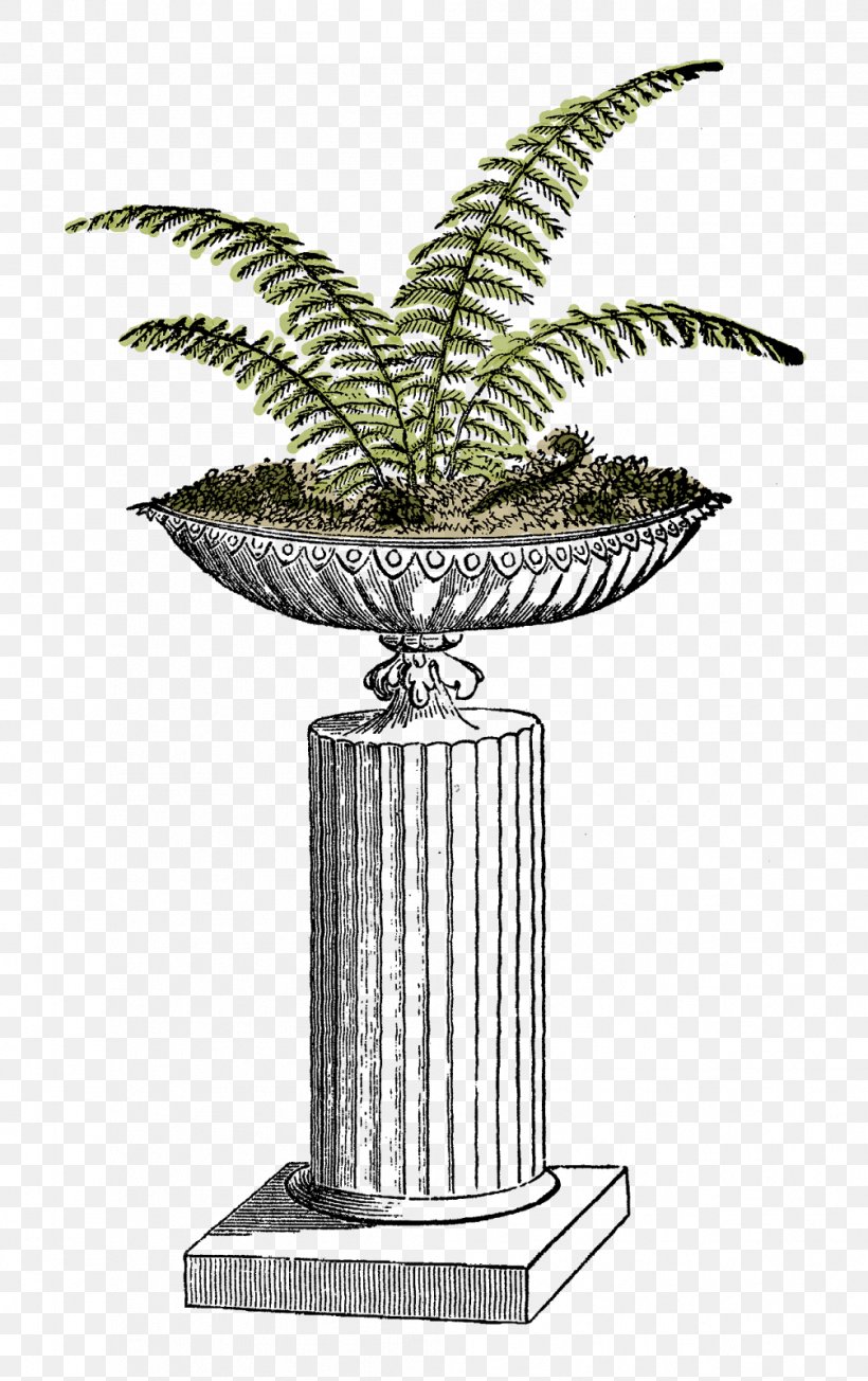 Fern Plant Flowerpot Clip Art, PNG, 1006x1600px, Fern, Botany, Color, Flower, Flowerpot Download Free
