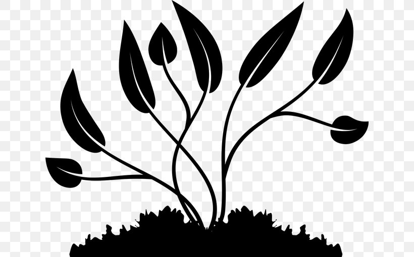 Leaf Image Tree Branch, PNG, 640x510px, Leaf, Art, Black, Blackandwhite, Botany Download Free