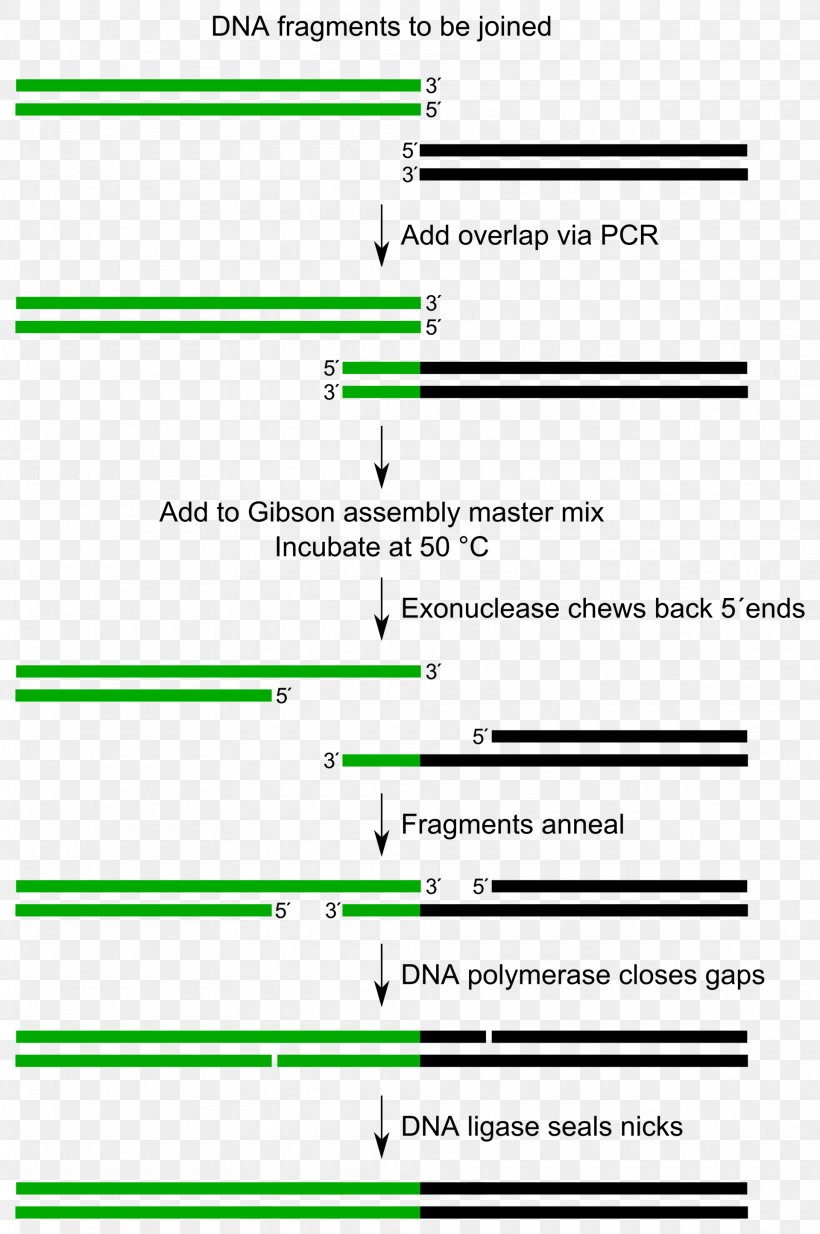 Design Of Experiments Isotretinoin United States, PNG, 1920x2891px, Experiment, Acne, Area, Deformity, Design Of Experiments Download Free