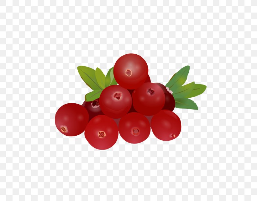 Gooseberry Barbados Cherry Huckleberry Lingonberry Cranberry, PNG, 640x640px, Gooseberry, Acerola, Acerola Family, Auglis, Barbados Cherry Download Free