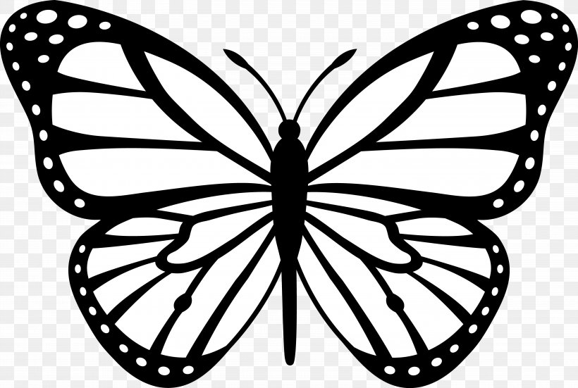 Monarch Butterfly Insect Outline Clip Art, PNG, 5920x3982px, Butterfly, Animal, Area, Arthropod, Bicycle Wheel Download Free