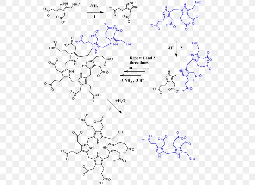 Porphobilinogen Deaminase Hydroxymethylbilane Uroporphyrinogen III Synthase, PNG, 550x597px, Uroporphyrinogen I, Area, Biochemistry, Blue, Cofactor Download Free