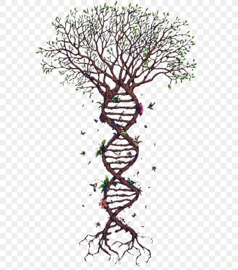 Spiral Tree, PNG, 600x928px, Tree Of Life, Biology, Branch, Crown, Dna Download Free