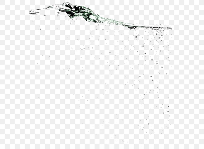 Water /m/02csf Drop, PNG, 600x600px, Water, Bathing, Black And White, Branch, Brightness Download Free