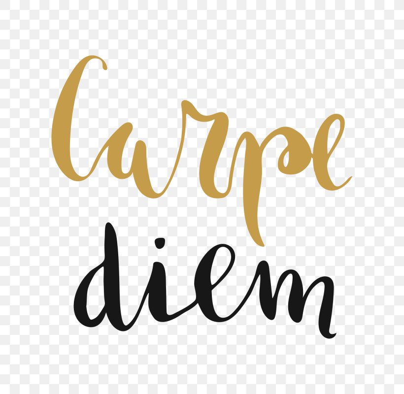 Carpe Diem Lettering Curtain Shower Throw Pillows, PNG, 800x800px, Carpe Diem, Brand, Calligraphy, Curtain, Douchegordijn Download Free