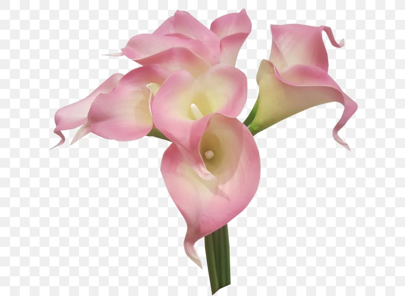 Flower Bouquet Cut Flowers Artificial Flower Lilium, PNG, 800x600px, Flower Bouquet, Artificial Flower, Arum, Arumlily, Bud Download Free