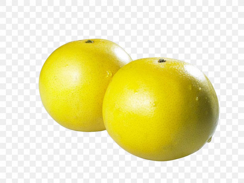 Lemon Grapefruit Pomelo Citrus Junos, PNG, 1024x769px, Lemon, Apple, Citric Acid, Citrus, Citrus Junos Download Free