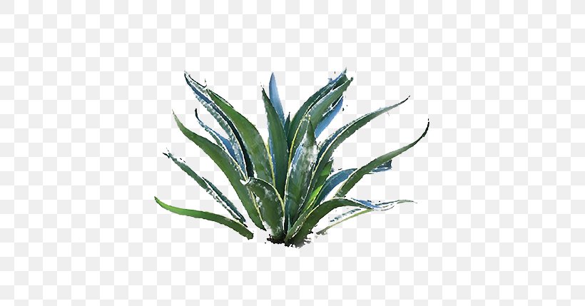Christo And Jeanne-Claude Writer Agave Art Literature, PNG, 600x429px, Writer, Agave, Agave Azul, Aloe, Aloe Vera Download Free