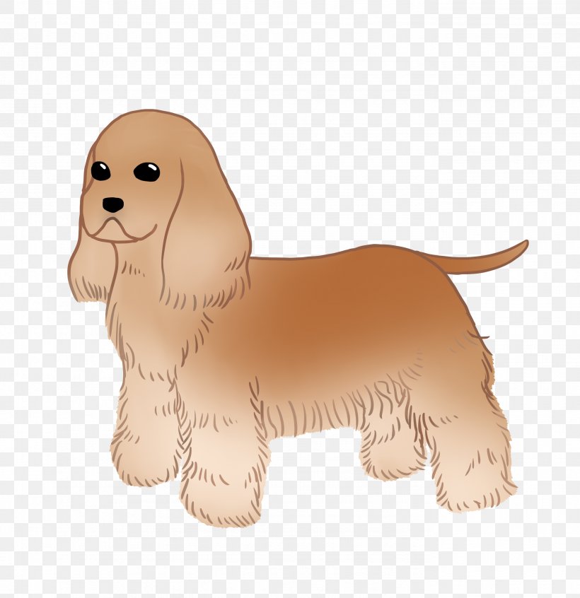 Cockapoo Rare Breed (dog) Puppy Dog Breed Spaniel, PNG, 2756x2846px, Cockapoo, Breed, Carnivoran, Companion Dog, Dog Download Free