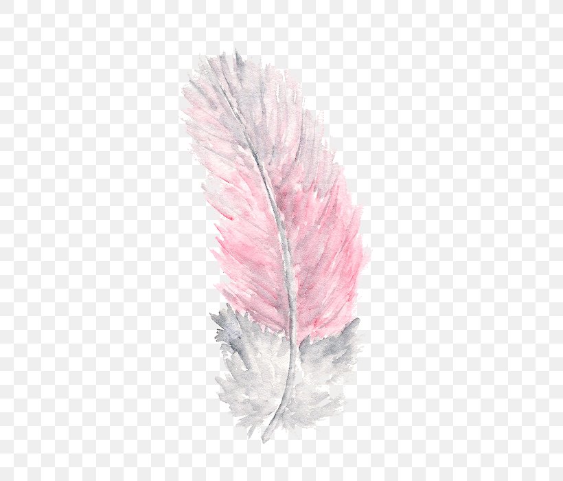 Feather Watercolor Painting Watercolour Flowers, PNG, 500x700px, Feather, Art, Feather Christmas Tree, Iphone, Leaf Download Free
