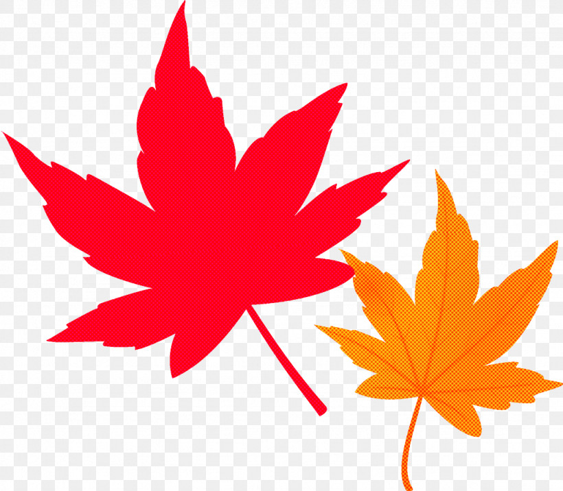 Maple Leaves Autumn Leaves Fall Leaves, PNG, 1026x896px, Maple Leaves, Autumn Leaves, Black Maple, Deciduous, Fall Leaves Download Free