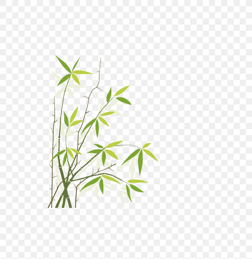 Bamboo Royalty-free Stock Photography Illustration, PNG, 596x843px, Bamboo, Area, Branch, Creative Market, Floral Design Download Free