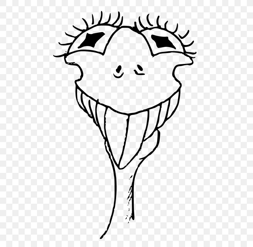 Common Ostrich Smile Drawing Line Art Clip Art, PNG, 566x800px, Watercolor, Cartoon, Flower, Frame, Heart Download Free