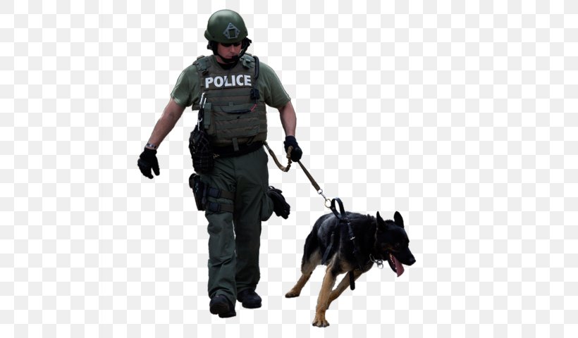 Police Dog Dog Breed Leash, PNG, 640x480px, Police Dog, Animal, Animal Control And Welfare Service, Attack Dog, Breed Download Free
